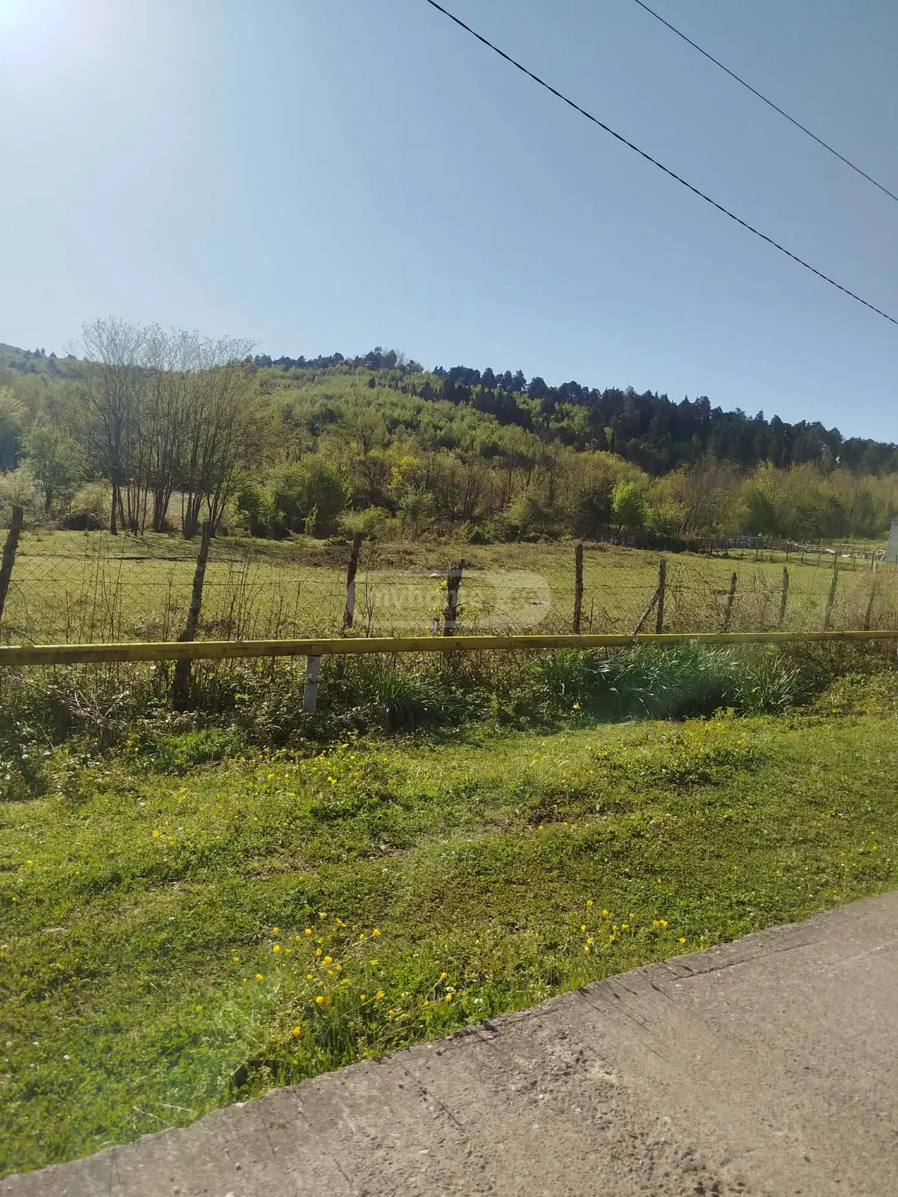 For Sale Sasoplo-Sameurneo Land Plot Tsqaltuboshi view 4