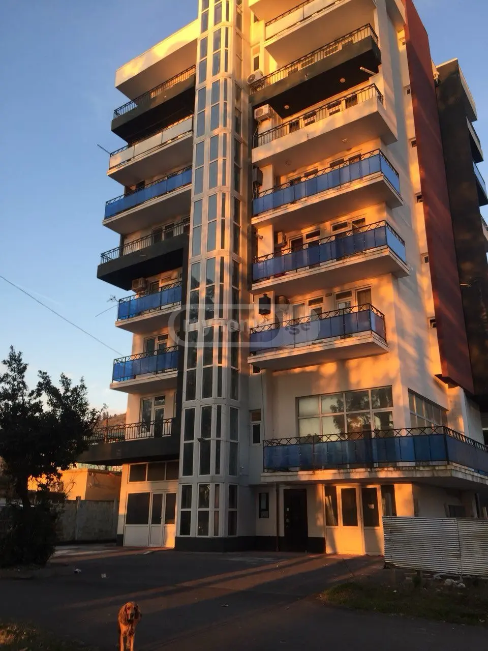 Daily Rent 2 Room Apartment Khelvachauris Munitsipalitetshi view 1