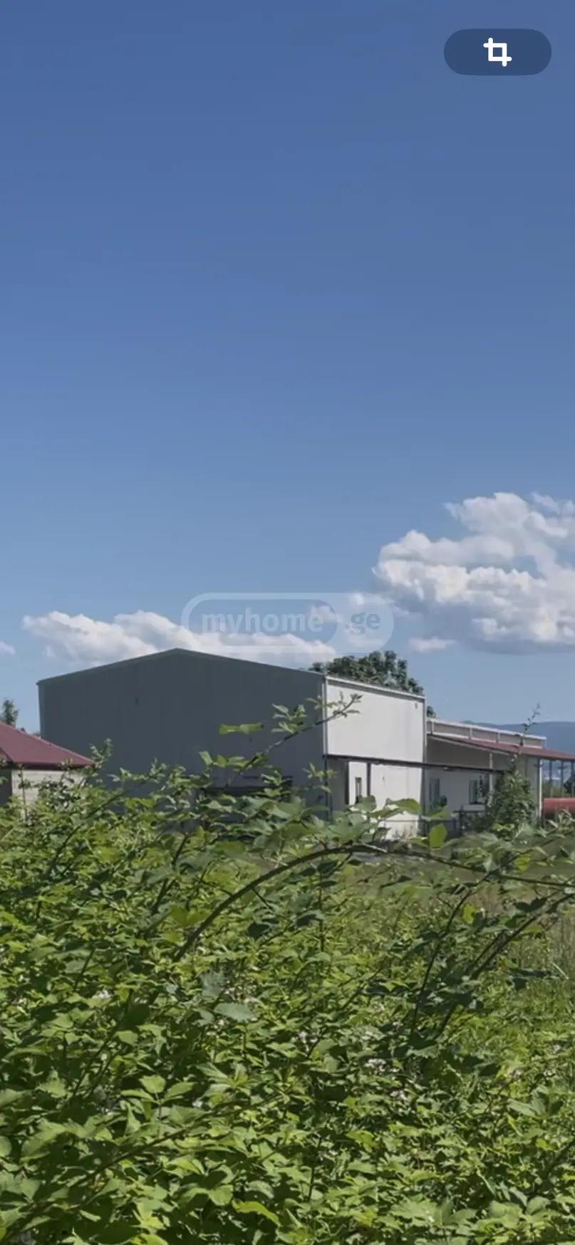 For Sale Sasoplo-Sameurneo Land Plot Telavis Munitsipalitetshi view 4