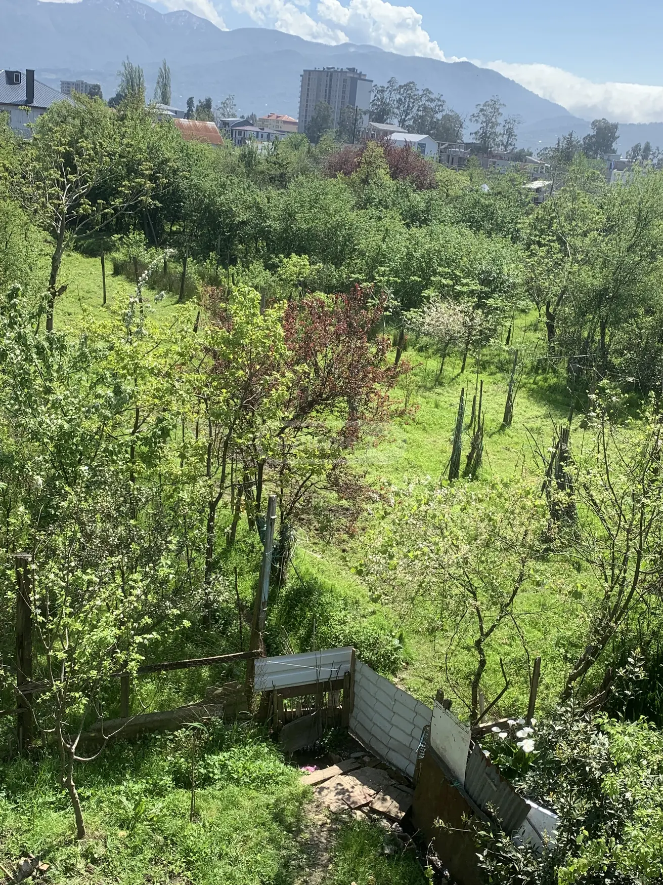 For Sale Sasoplo-Sameurneo Land Plot In Batumi view 2