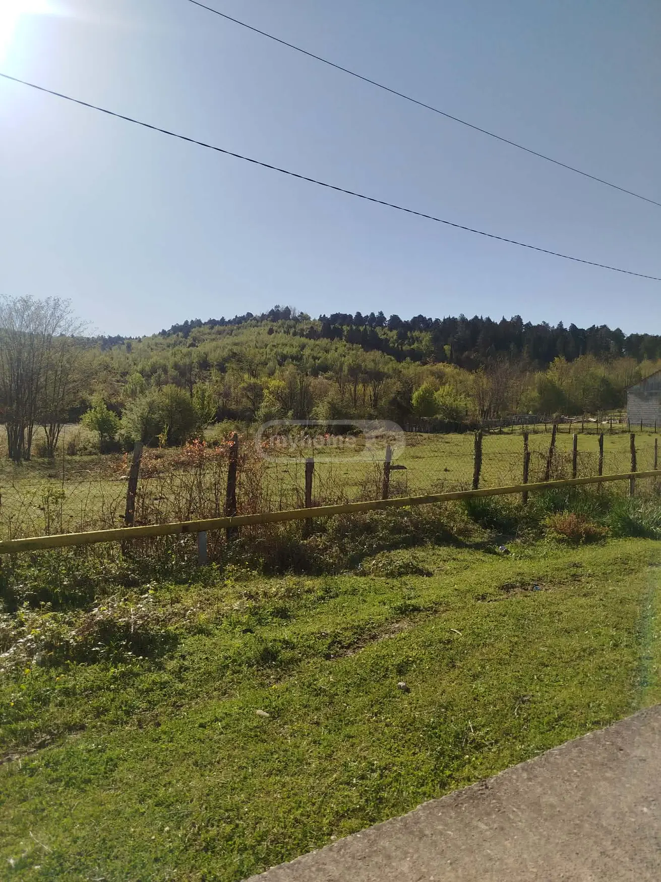 For Sale Sasoplo-Sameurneo Land Plot Tsqaltuboshi view 5