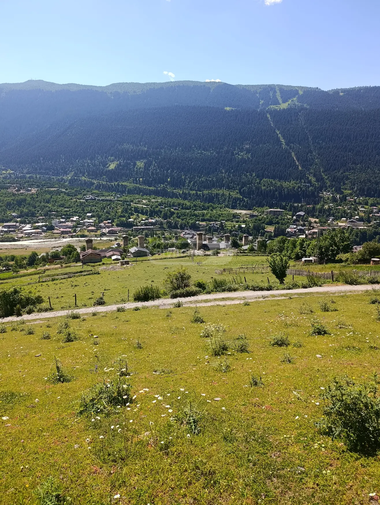 იყიდება მიწა / ნაკვეთი Mestiashiში view 8