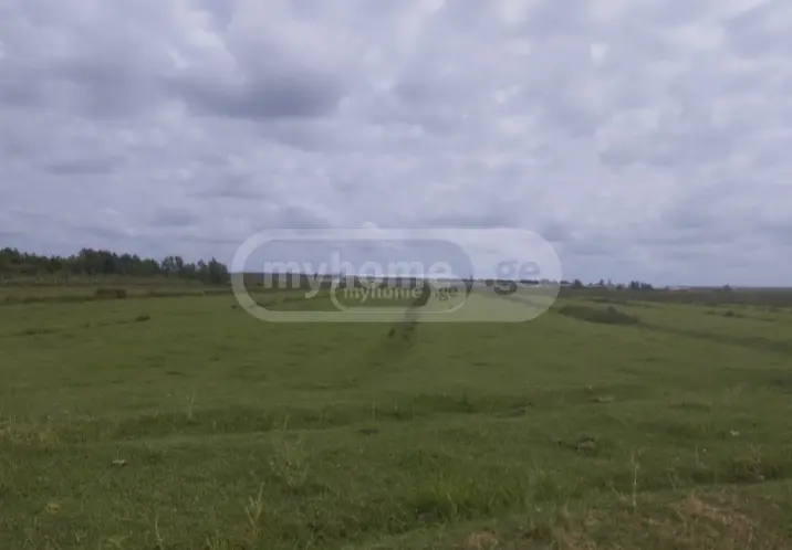 Продажа Земля / участок в Zugdidis Munitsipalitetshi view 2