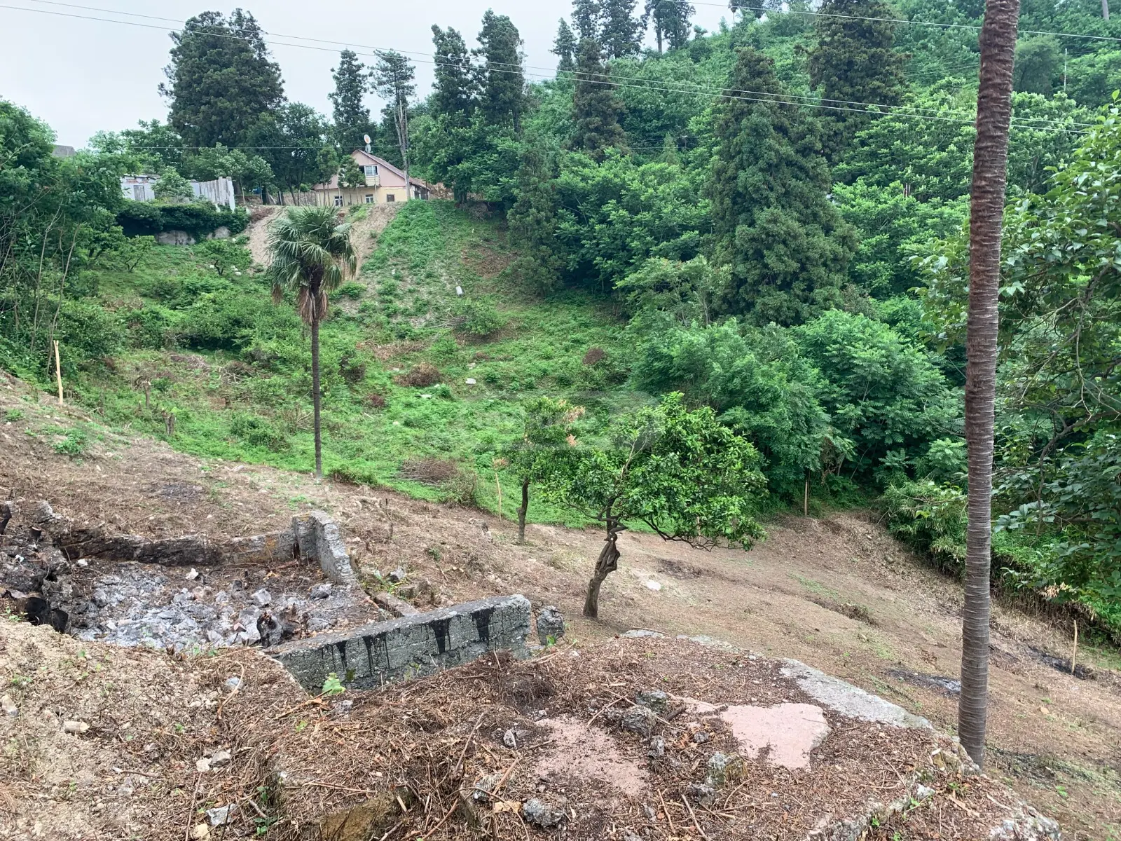 For Sale Sasoplo-Sameurneo Land Plot Khelvachauris Munitsipalitetshi view 6