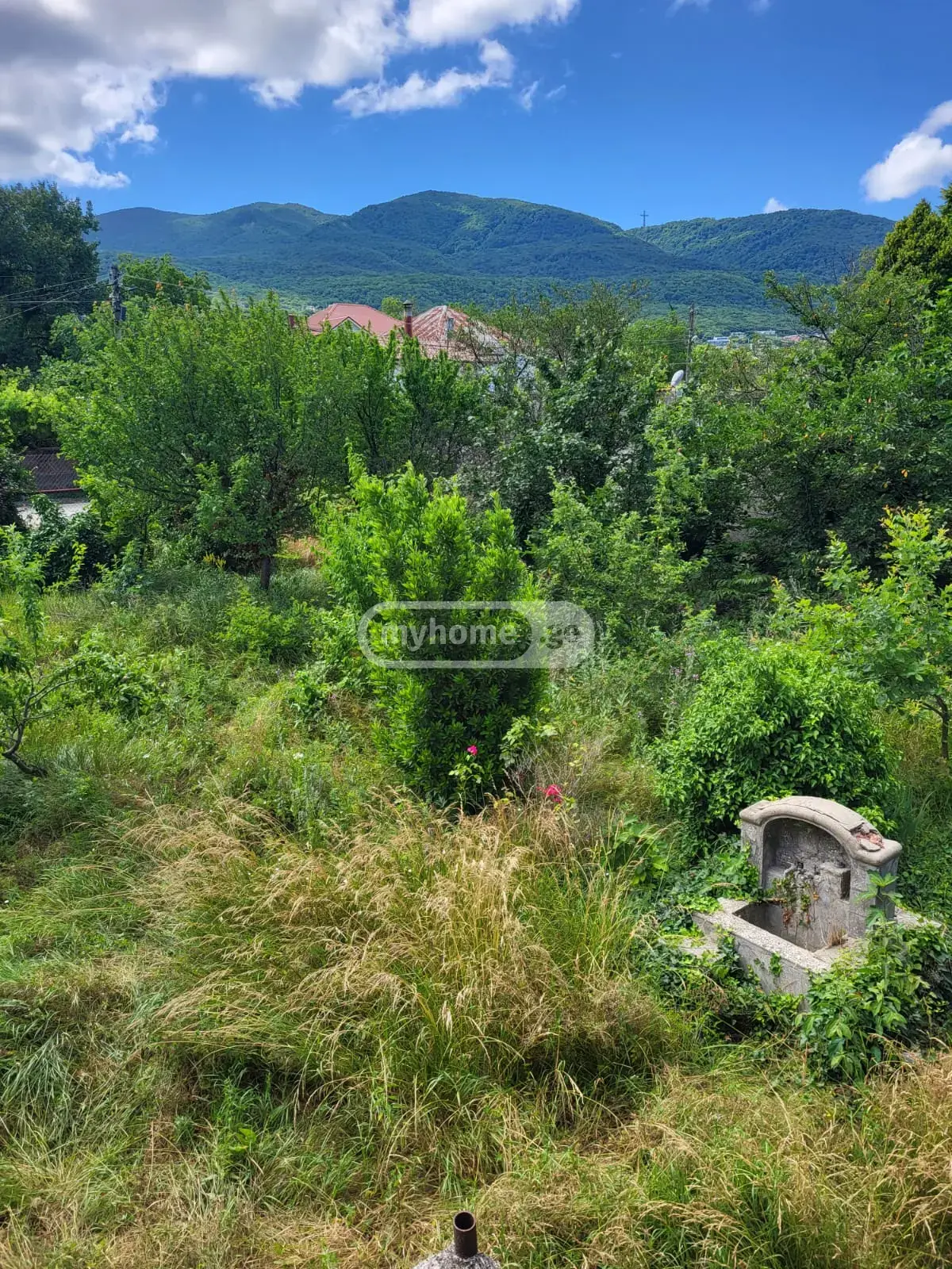 For Sale 8 Room Private House Mtskhetis Munitsipalitetshi view 26