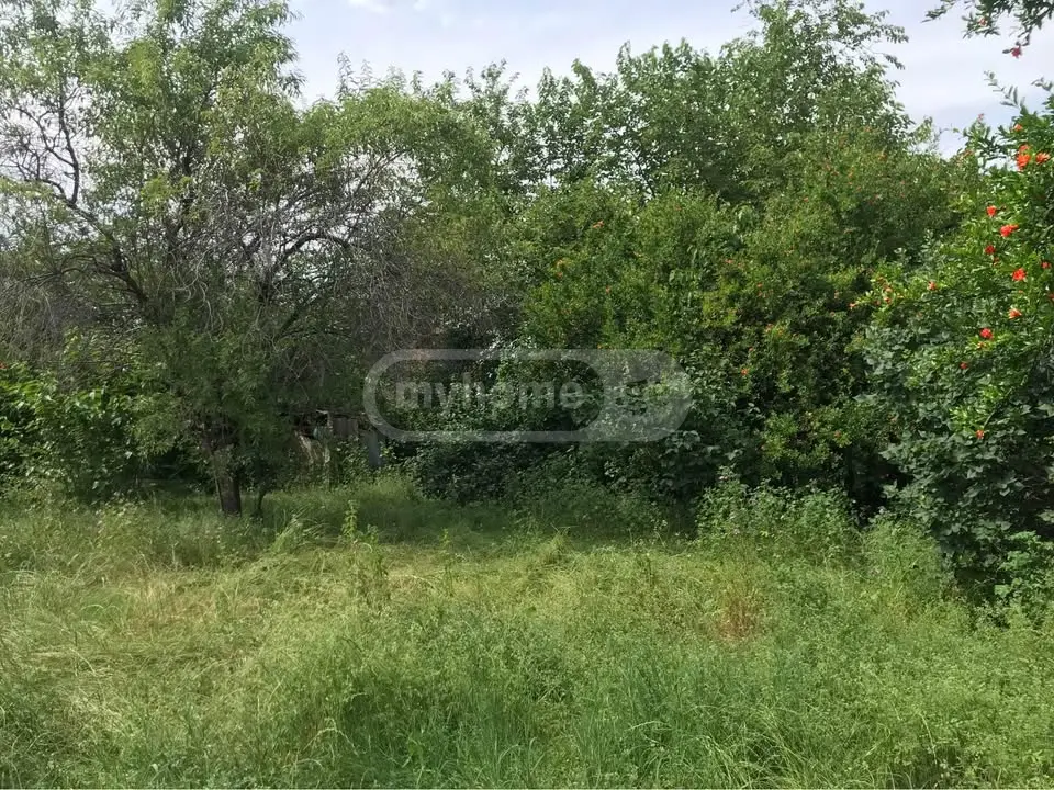 For Sale 8 Room Country House Gurjaanis Munitsipalitetshi view 6