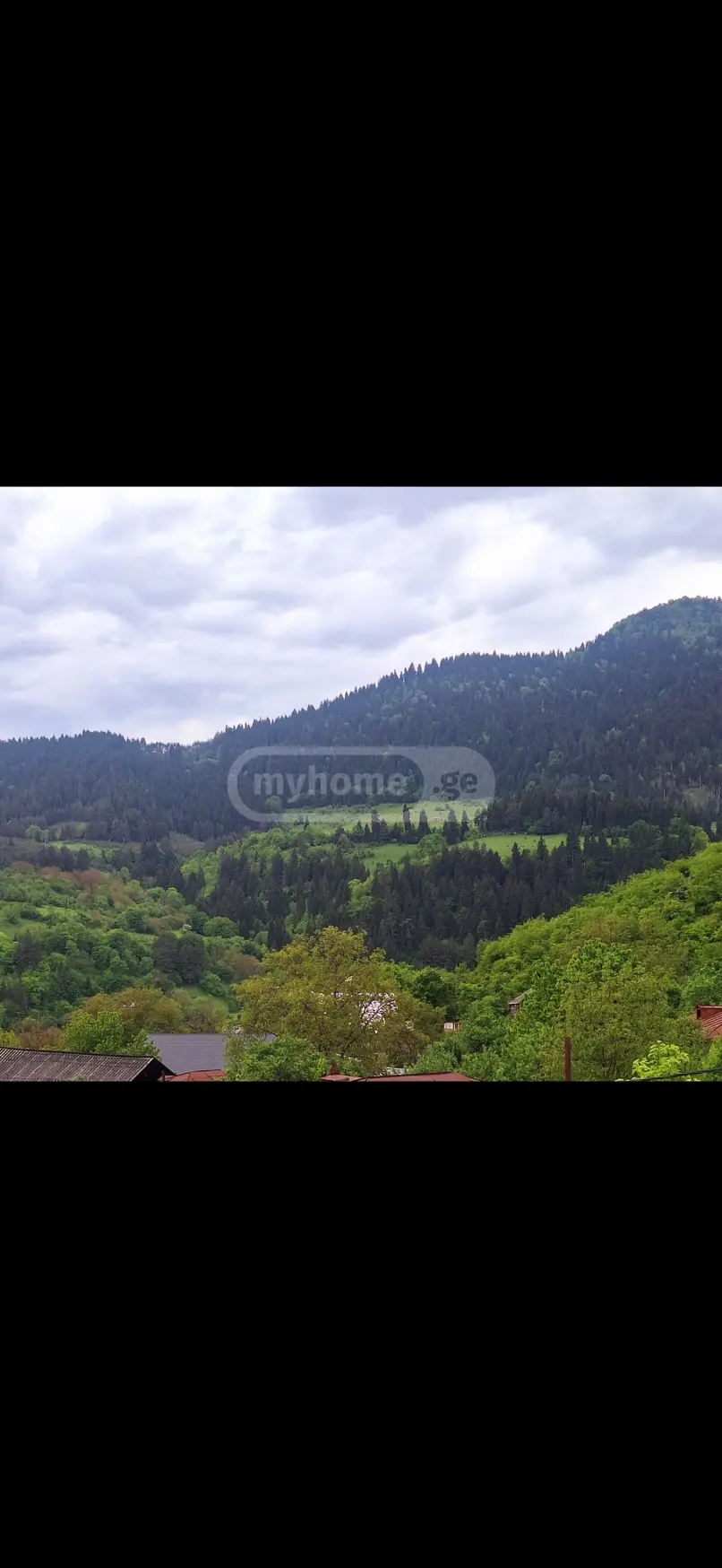 დღიური ქირა 2-ოთახი კერძო სახლი Borjomshiში view 7