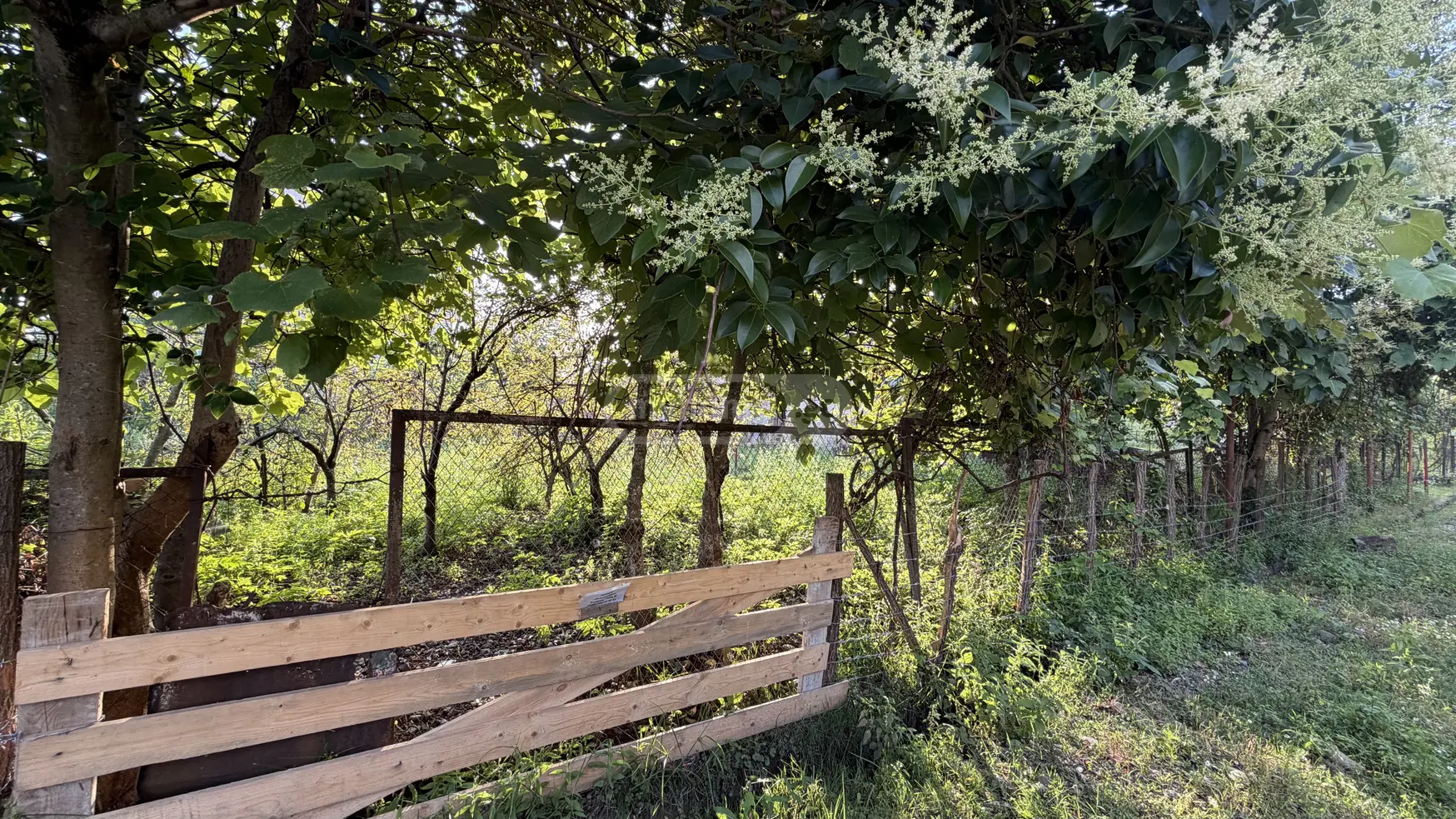 For Sale Ara Sasoplo-Sameurneo Land Plot Senakshi view 8