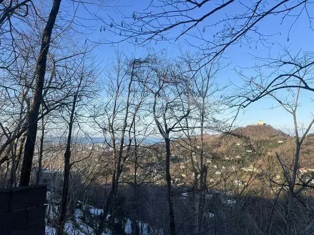 For Sale Sasoplo-Sameurneo Land Plot In Batumi view 3