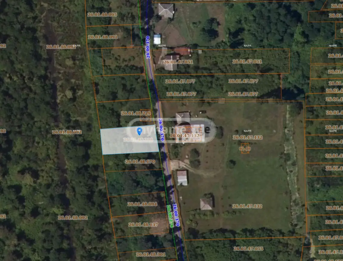 For Sale Sasoplo-Sameurneo Land Plot Ozurgetis Munitsipalitetshi view 14