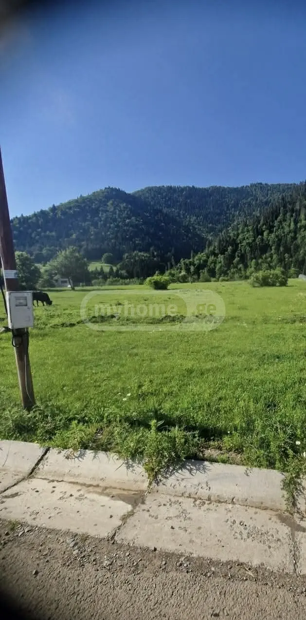 For Sale Sasoplo-Sameurneo Land Plot Borjomshi view 1