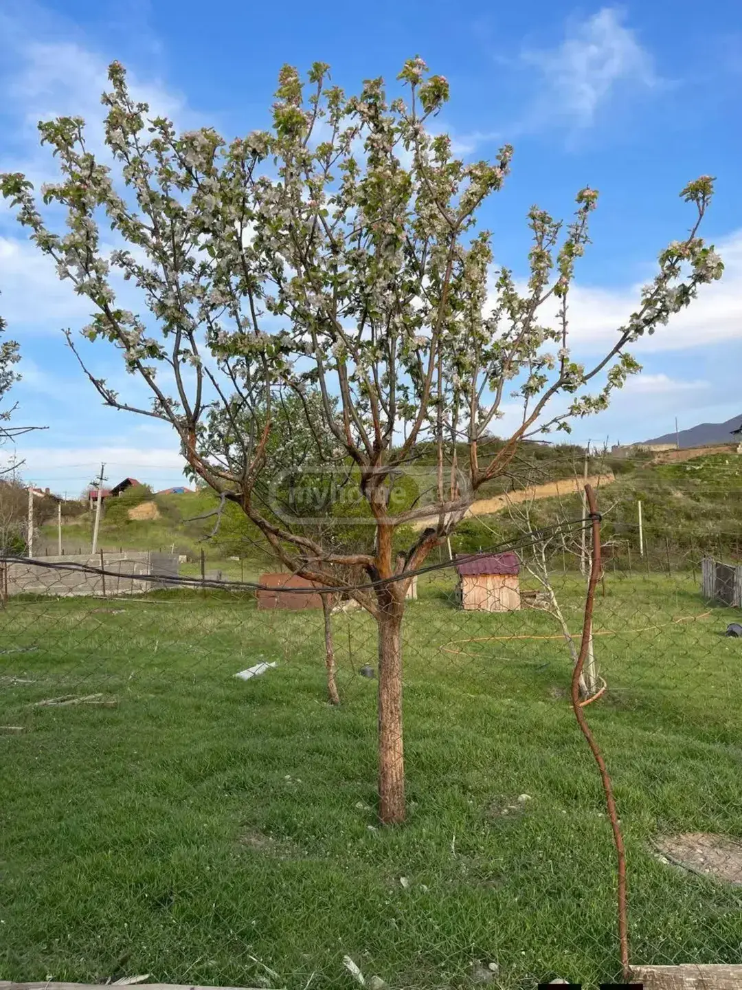 For Sale Sasoplo-Sameurneo Land Plot In Vake view 6