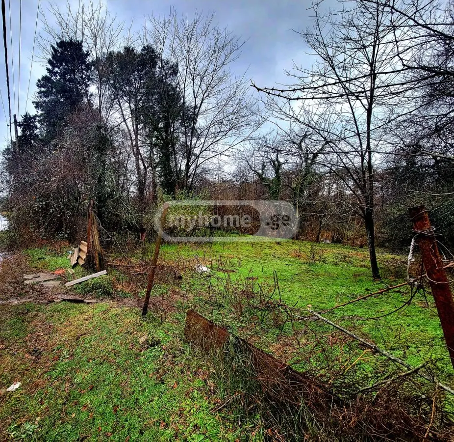 For Sale Sasoplo-Sameurneo Land Plot Ozurgetis Munitsipalitetshi view 8