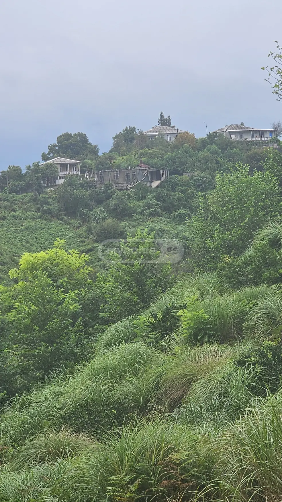 For Sale Sasoplo-Sameurneo Land Plot Kobuletis Munitsipalitetshi view 2