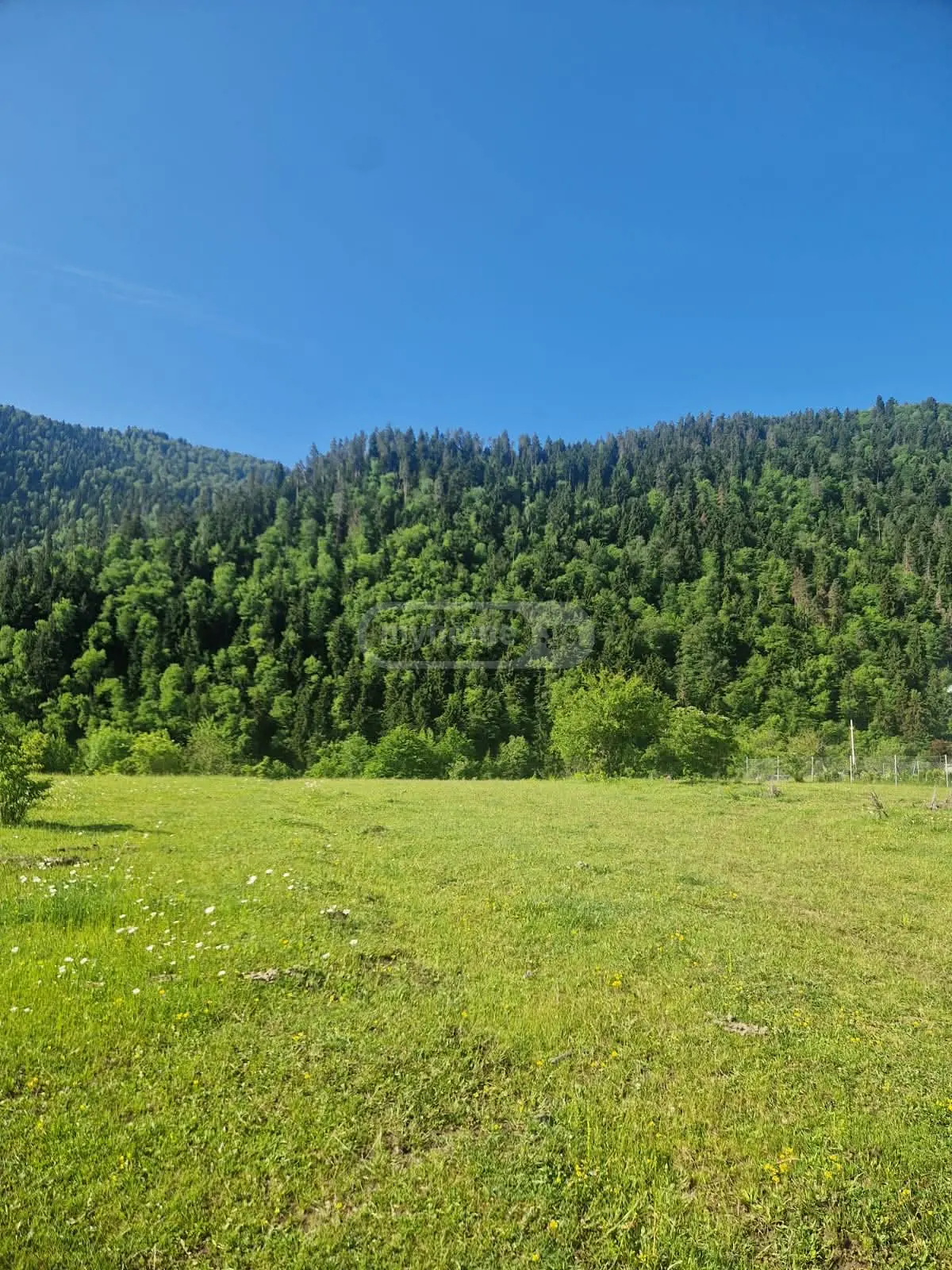 For Sale Sasoplo-Sameurneo Land Plot Borjomshi view 5