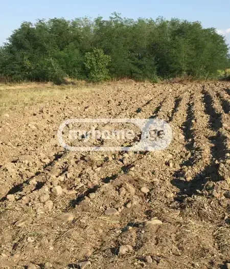 Продажа Земля / участок в Gurjaanis Munitsipalitetshi view 1