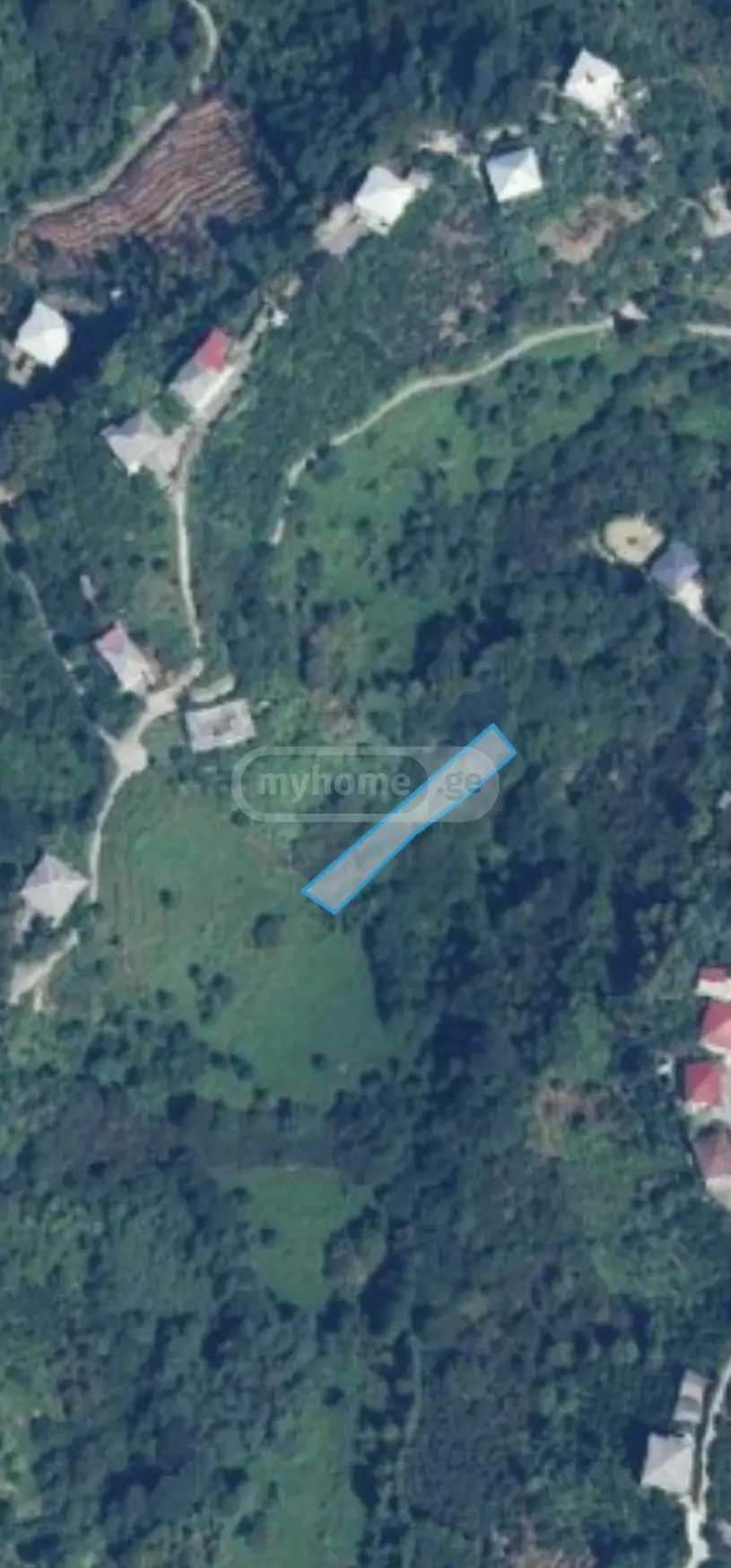 For Sale Sasoplo-Sameurneo Land Plot Kobuletis Munitsipalitetshi view 1