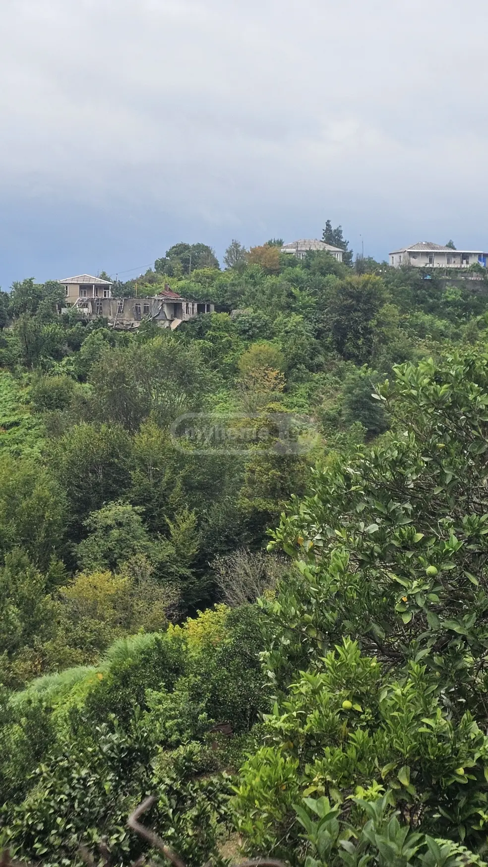 For Sale Sasoplo-Sameurneo Land Plot Kobuletis Munitsipalitetshi view 4