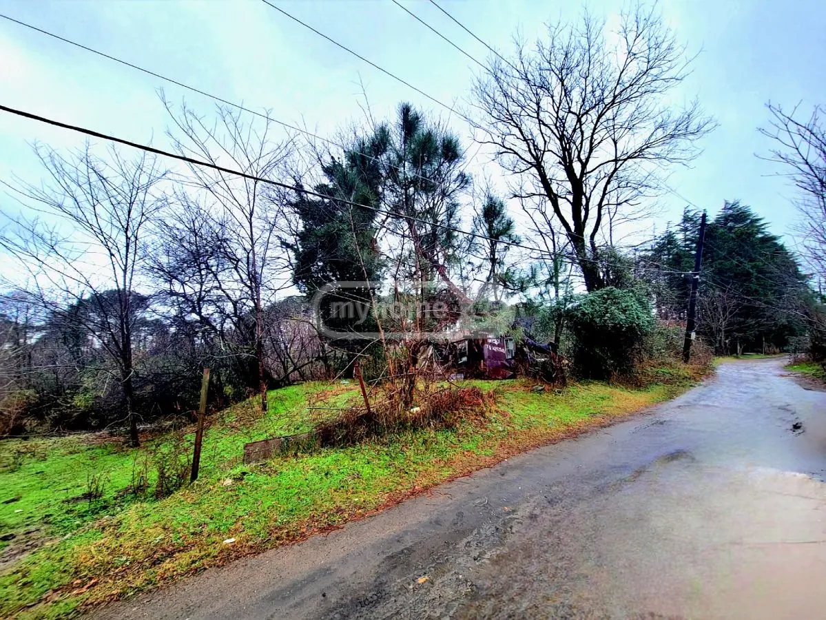 For Sale Sasoplo-Sameurneo Land Plot Ozurgetis Munitsipalitetshi view 10