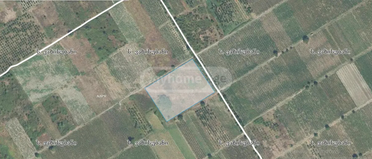 Продажа Земля / участок в Gurjaanis Munitsipalitetshi view 2