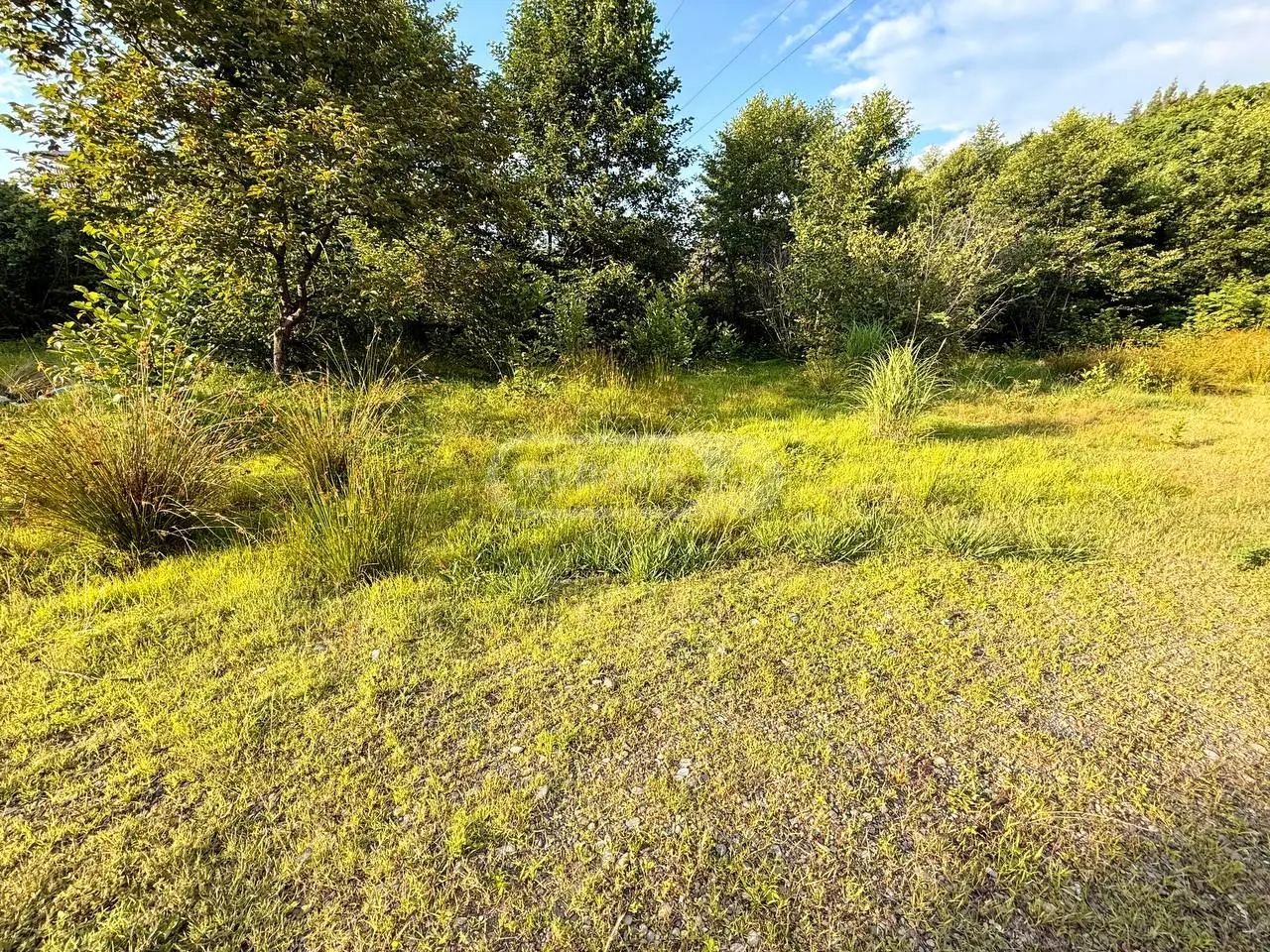 For Sale Ara Sasoplo-Sameurneo Land Plot Kobuletis Munitsipalitetshi view 1