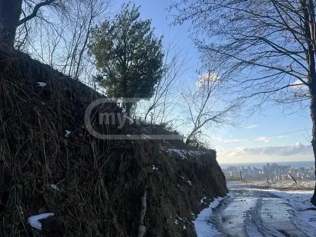 For Sale Sasoplo-Sameurneo Land Plot In Batumi view 2