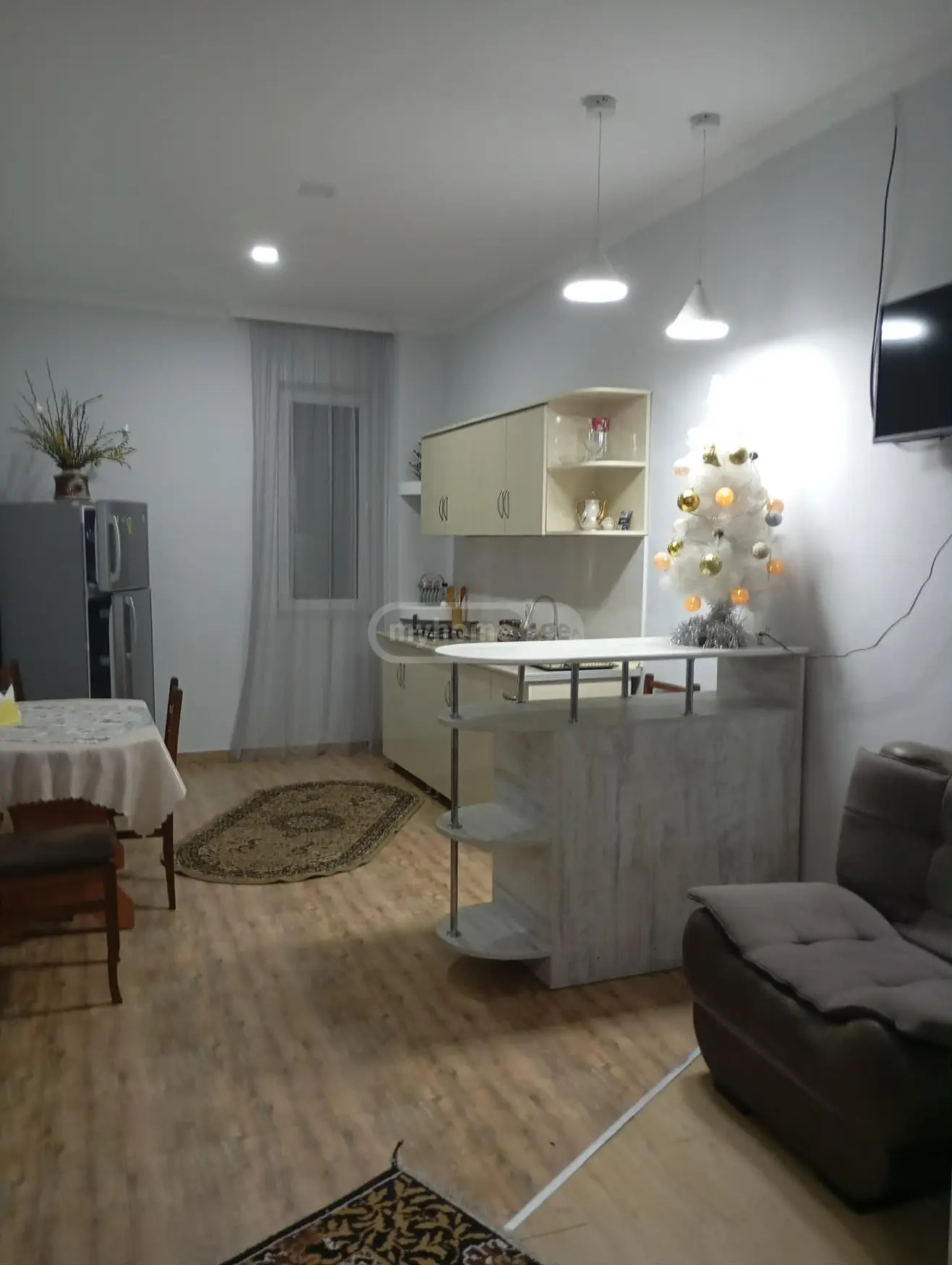 Daily Rent 1 Room Sastumro Bakurianshi view 5