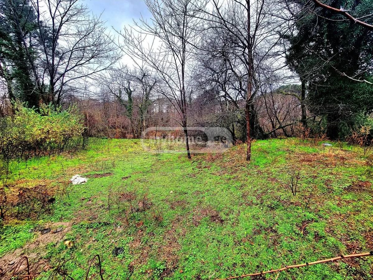 For Sale Sasoplo-Sameurneo Land Plot Ozurgetis Munitsipalitetshi view 12