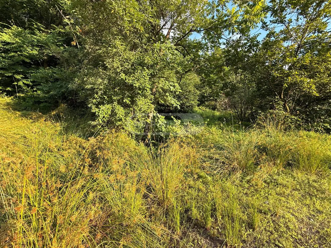 For Sale Ara Sasoplo-Sameurneo Land Plot Kobuletis Munitsipalitetshi view 3