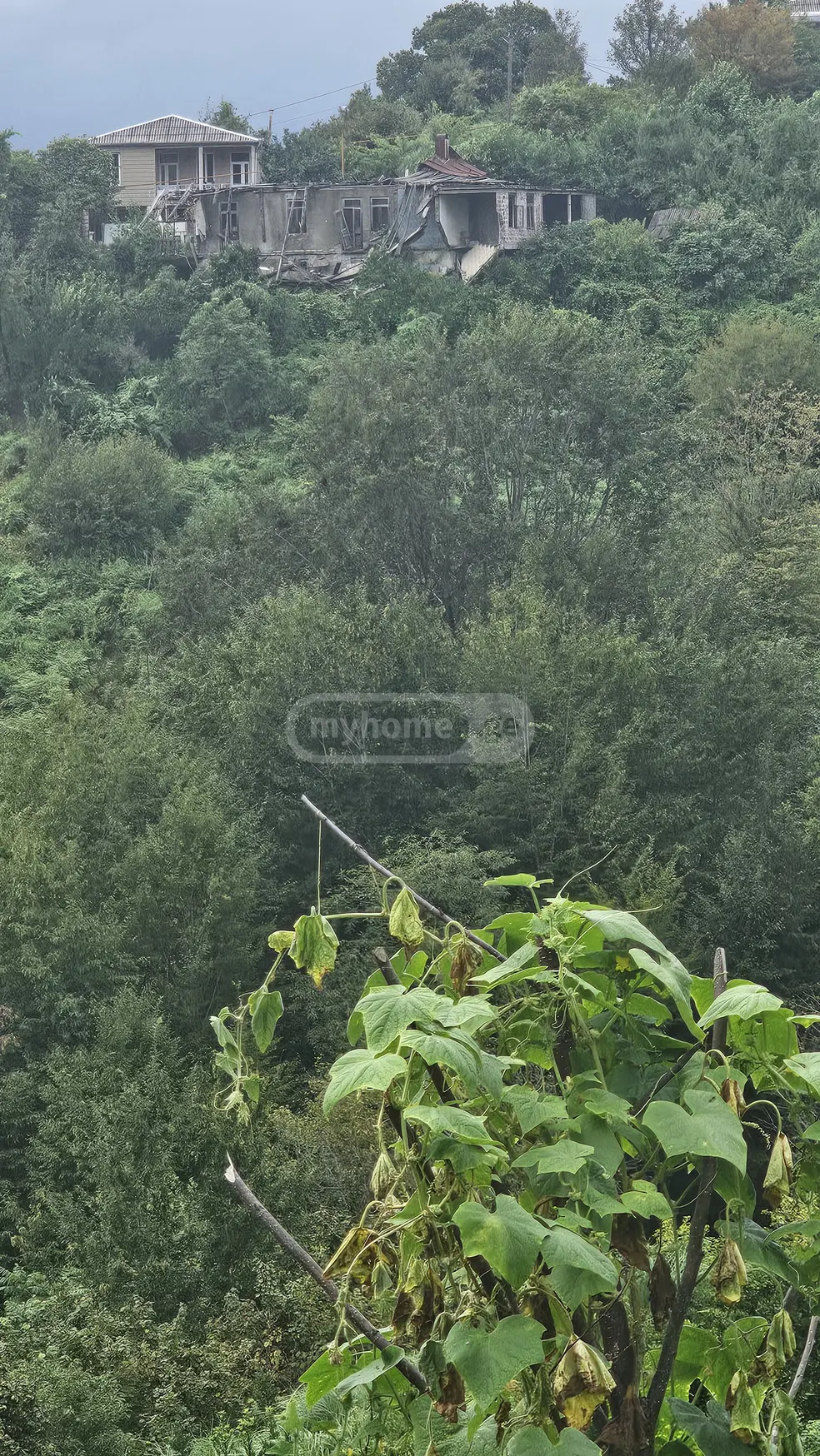 For Sale Sasoplo-Sameurneo Land Plot Kobuletis Munitsipalitetshi view 3