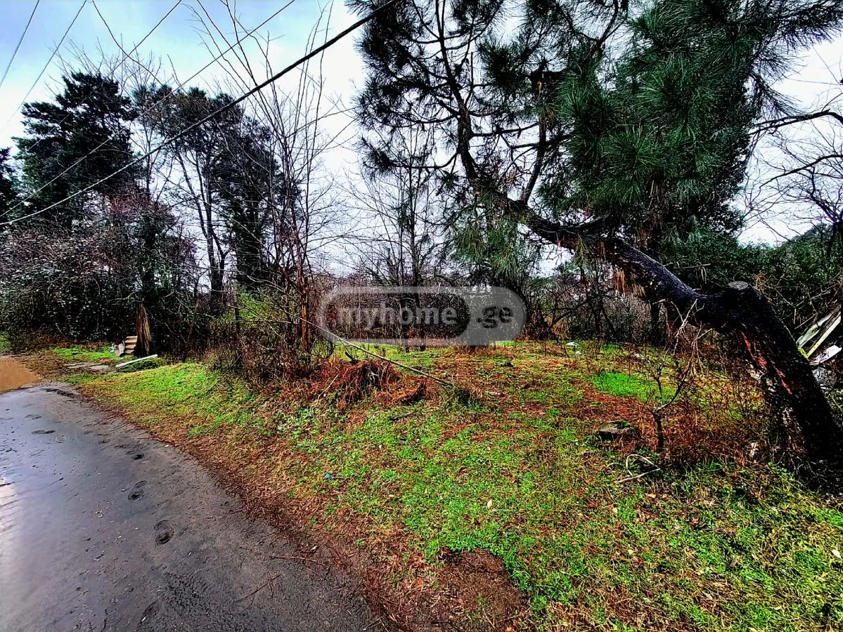 For Sale Sasoplo-Sameurneo Land Plot Ozurgetis Munitsipalitetshi view 9