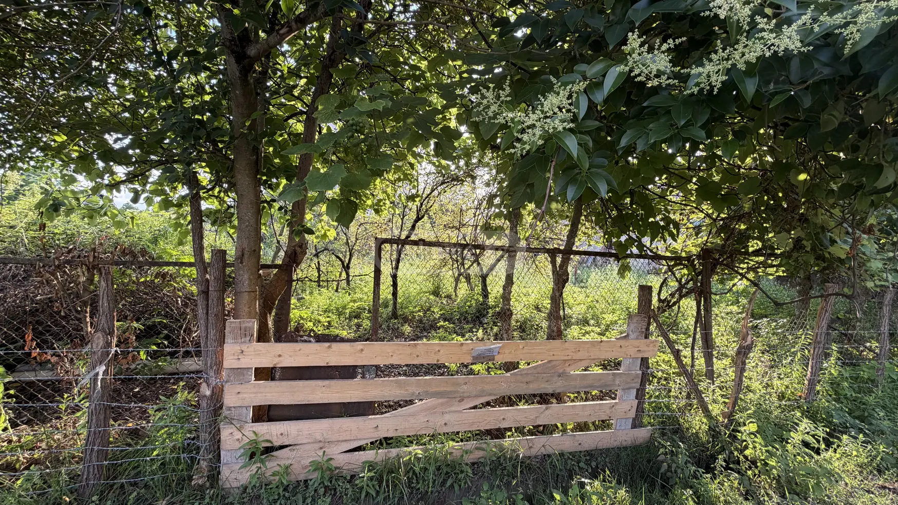 For Sale Ara Sasoplo-Sameurneo Land Plot Senakshi view 9