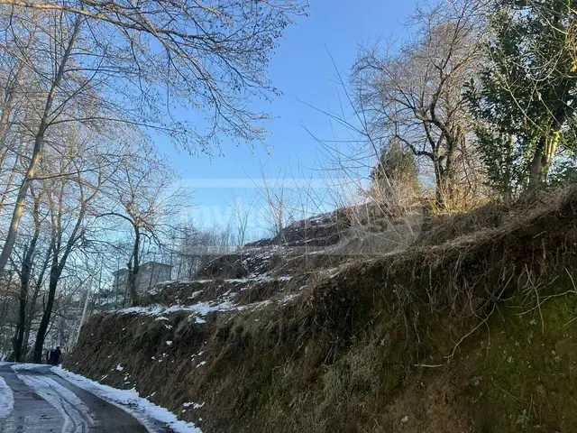 For Sale Sasoplo-Sameurneo Land Plot In Batumi view 6