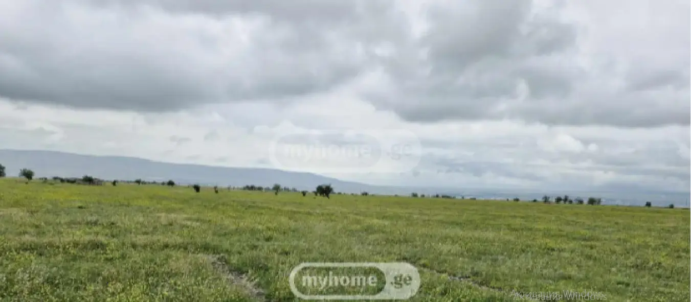 Продажа Земля / участок в Gurjaanis Munitsipalitetshi view 3