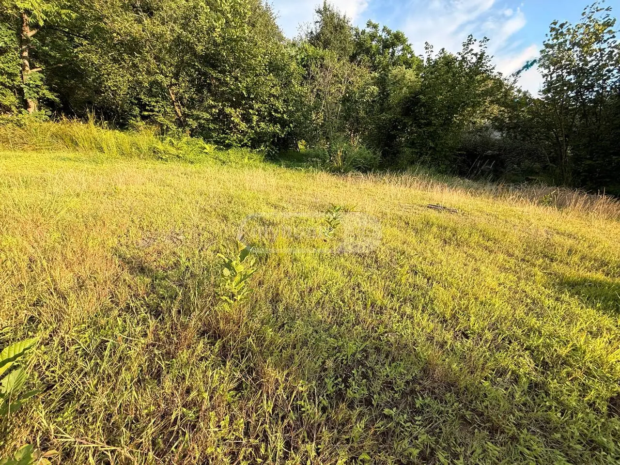 For Sale Ara Sasoplo-Sameurneo Land Plot Kobuletis Munitsipalitetshi view 2