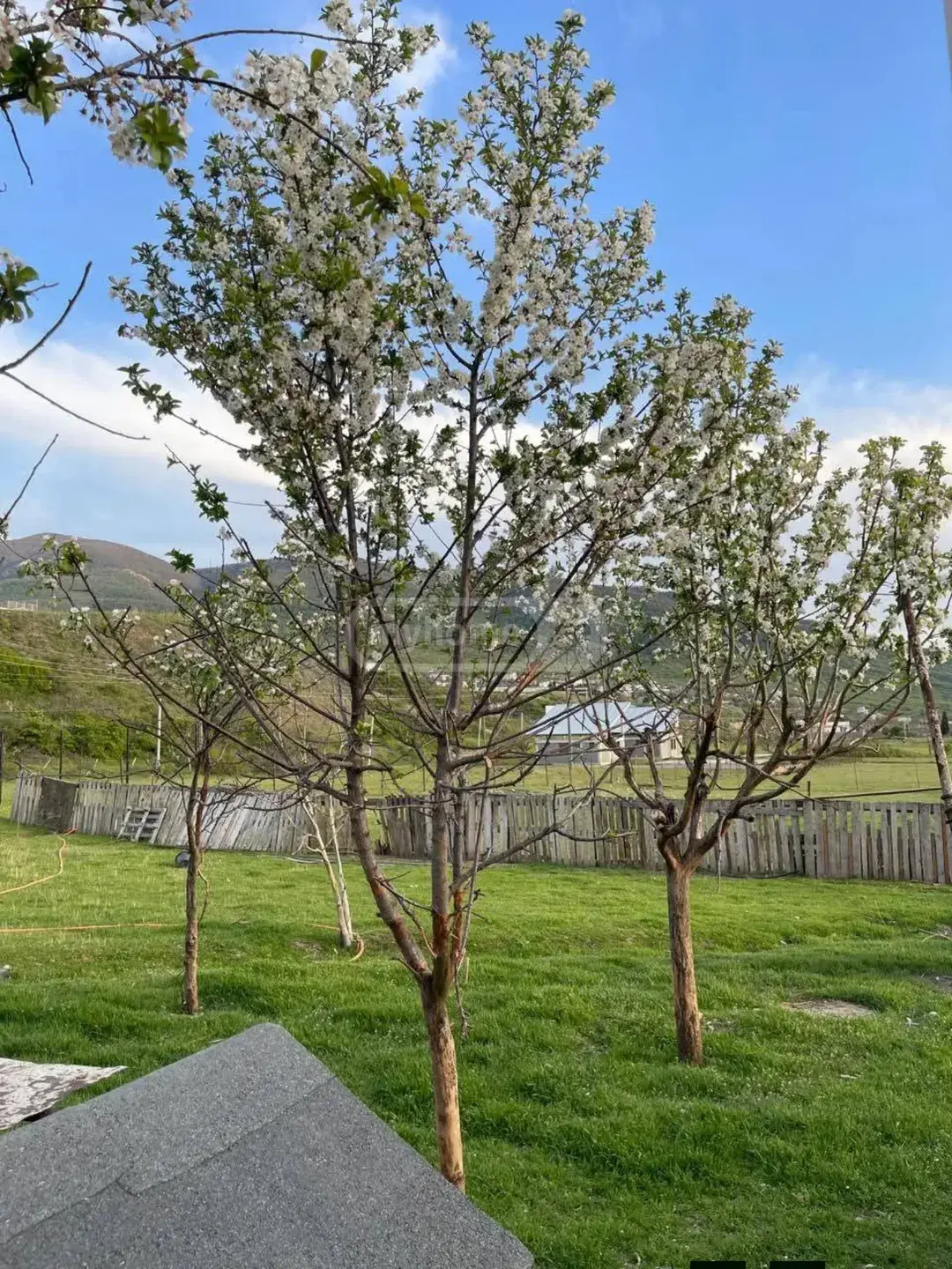 For Sale Sasoplo-Sameurneo Land Plot In Vake view 5