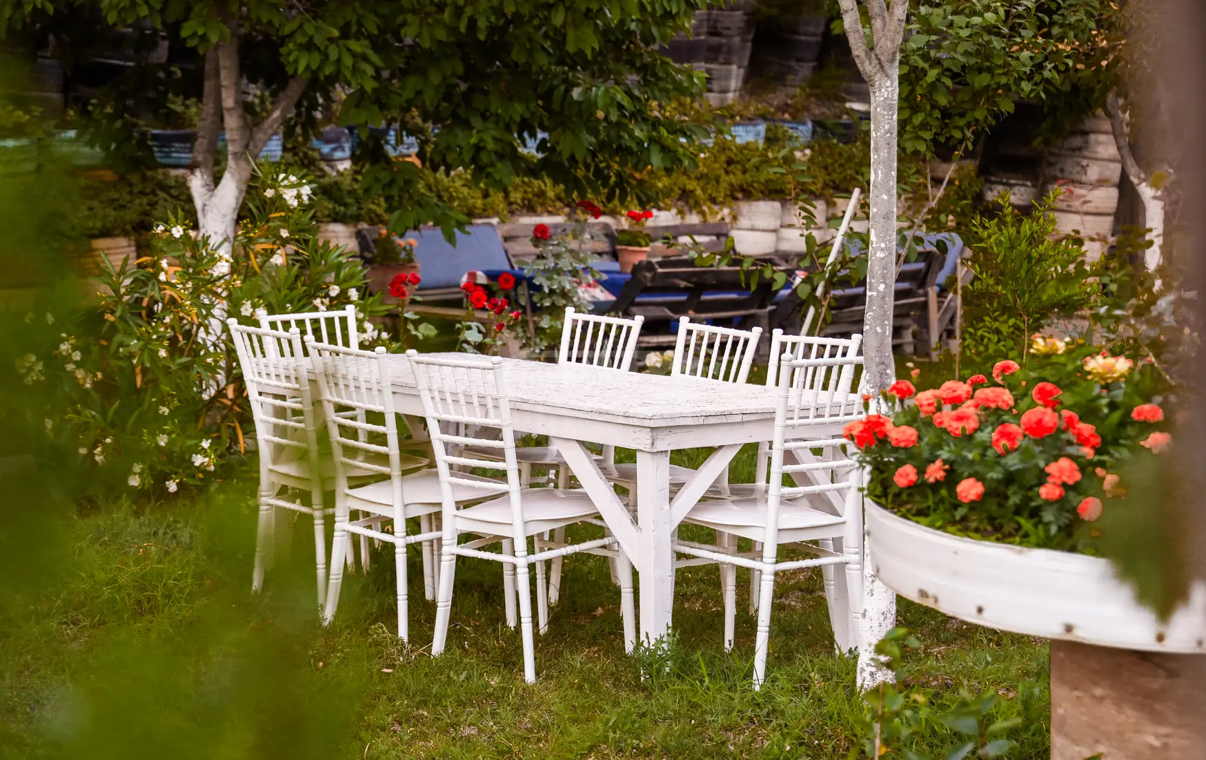 Daily Rent 4 Room Private House, 5 of 12