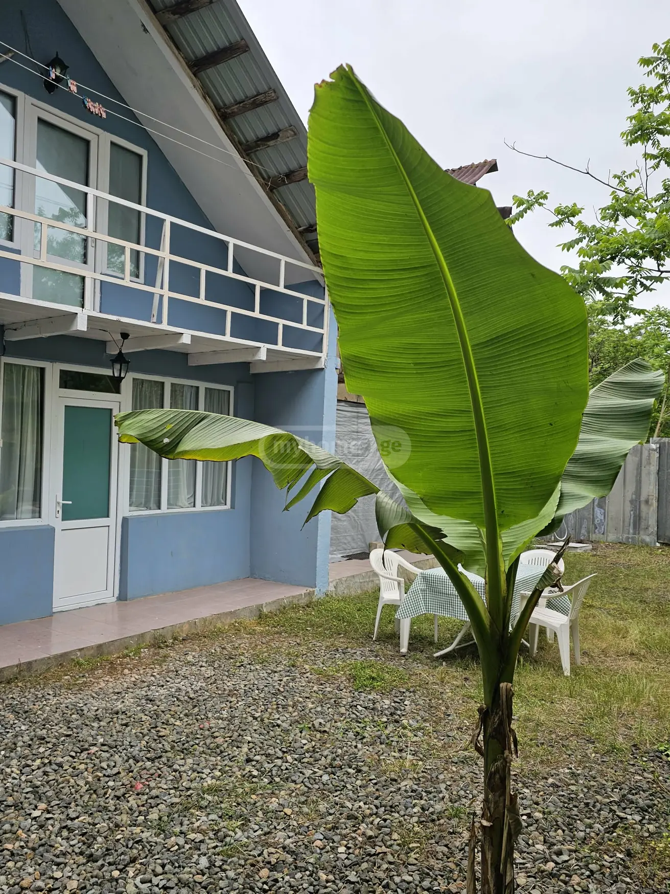 Daily Rent 3 Room Country House Ozurgetis Munitsipalitetshi view 9