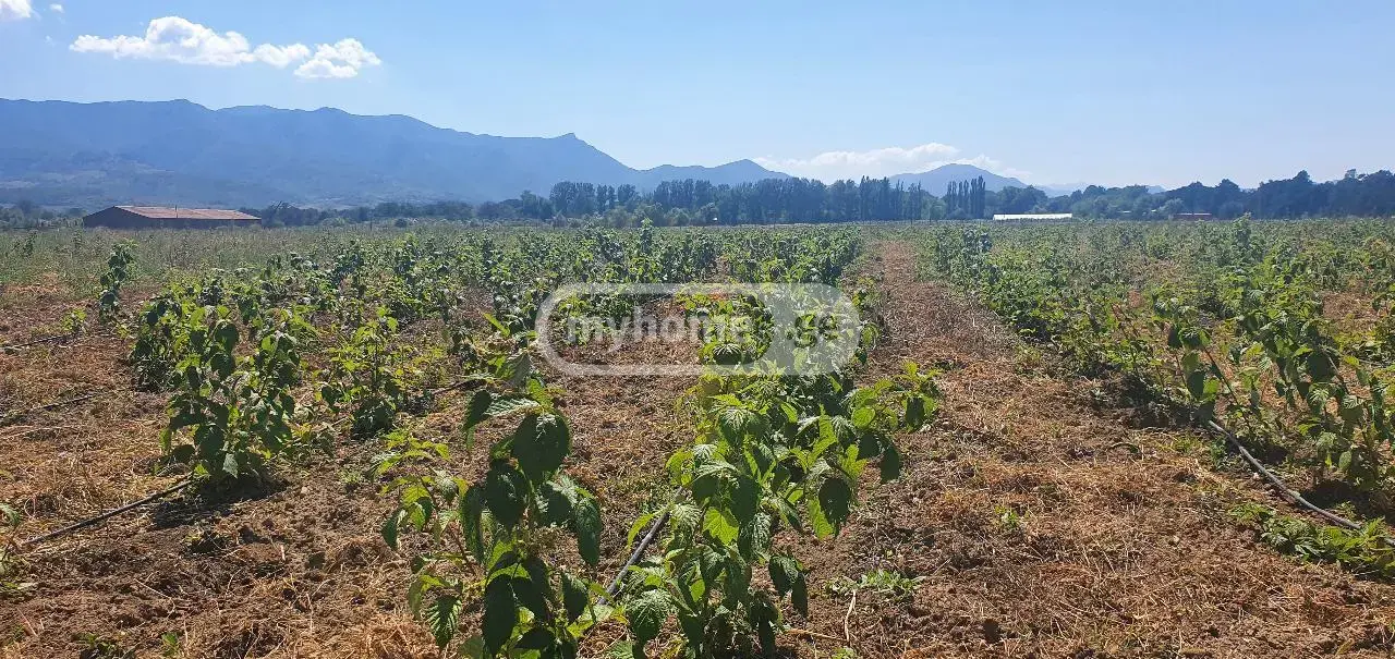 For Sale Sasoplo-Sameurneo Land Plot Khashurshi view 9