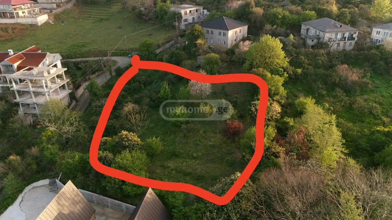 For Sale Sasoplo-Sameurneo Land Plot Khelvachauris Munitsipalitetshi view 1