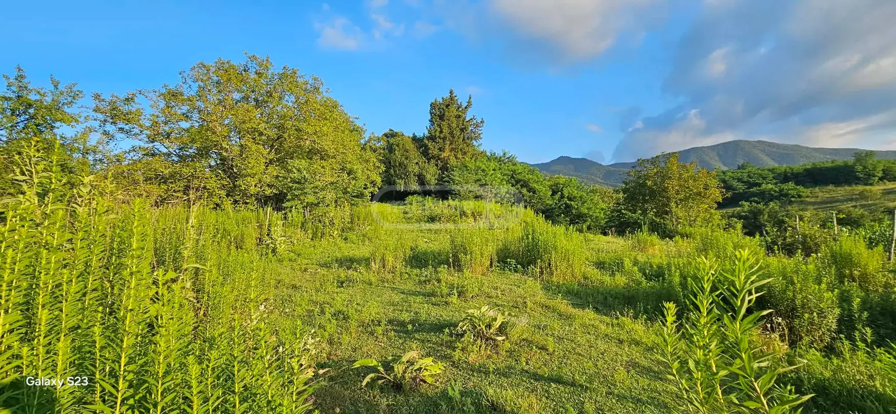 For Sale Ara Sasoplo-Sameurneo Land Plot Baghdatshi view 10