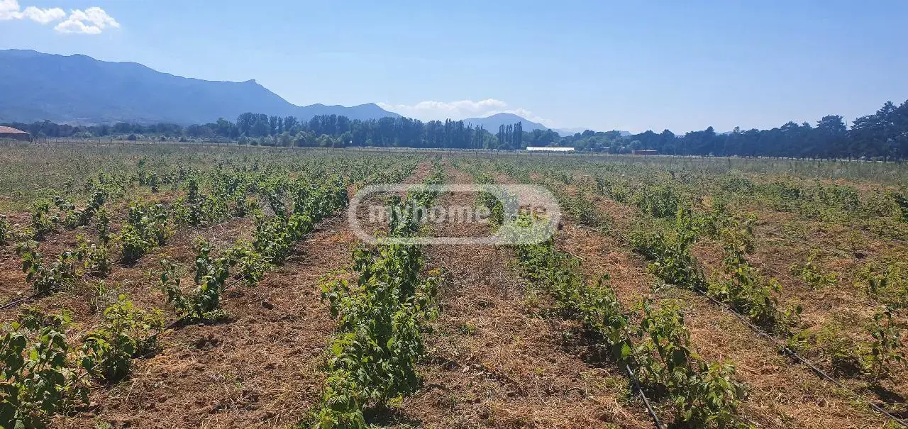 For Sale Sasoplo-Sameurneo Land Plot Khashurshi view 7