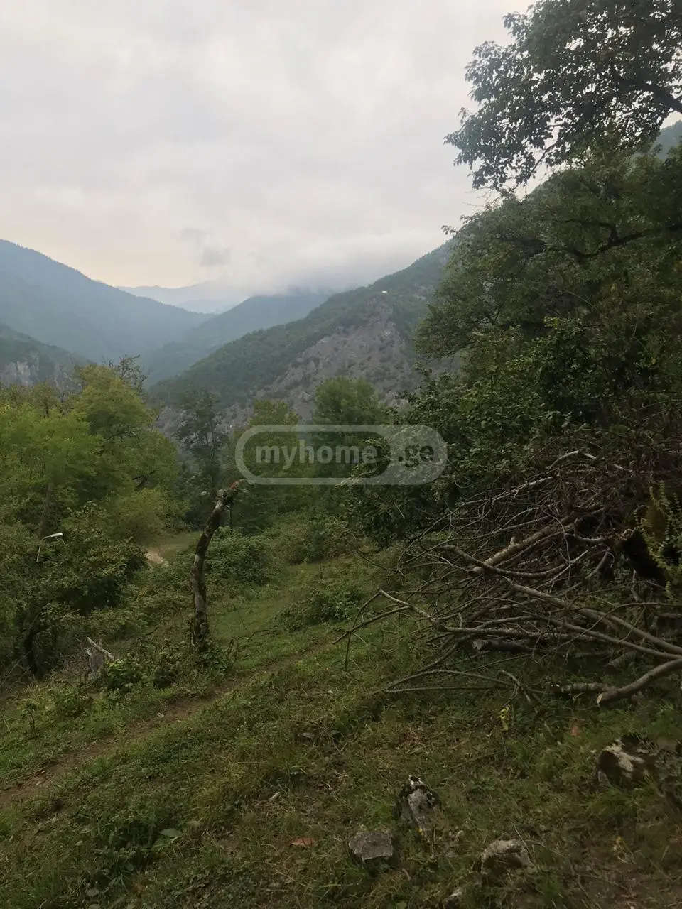 იყიდება მიწა / ნაკვეთი Ambrolaurshiში view 1