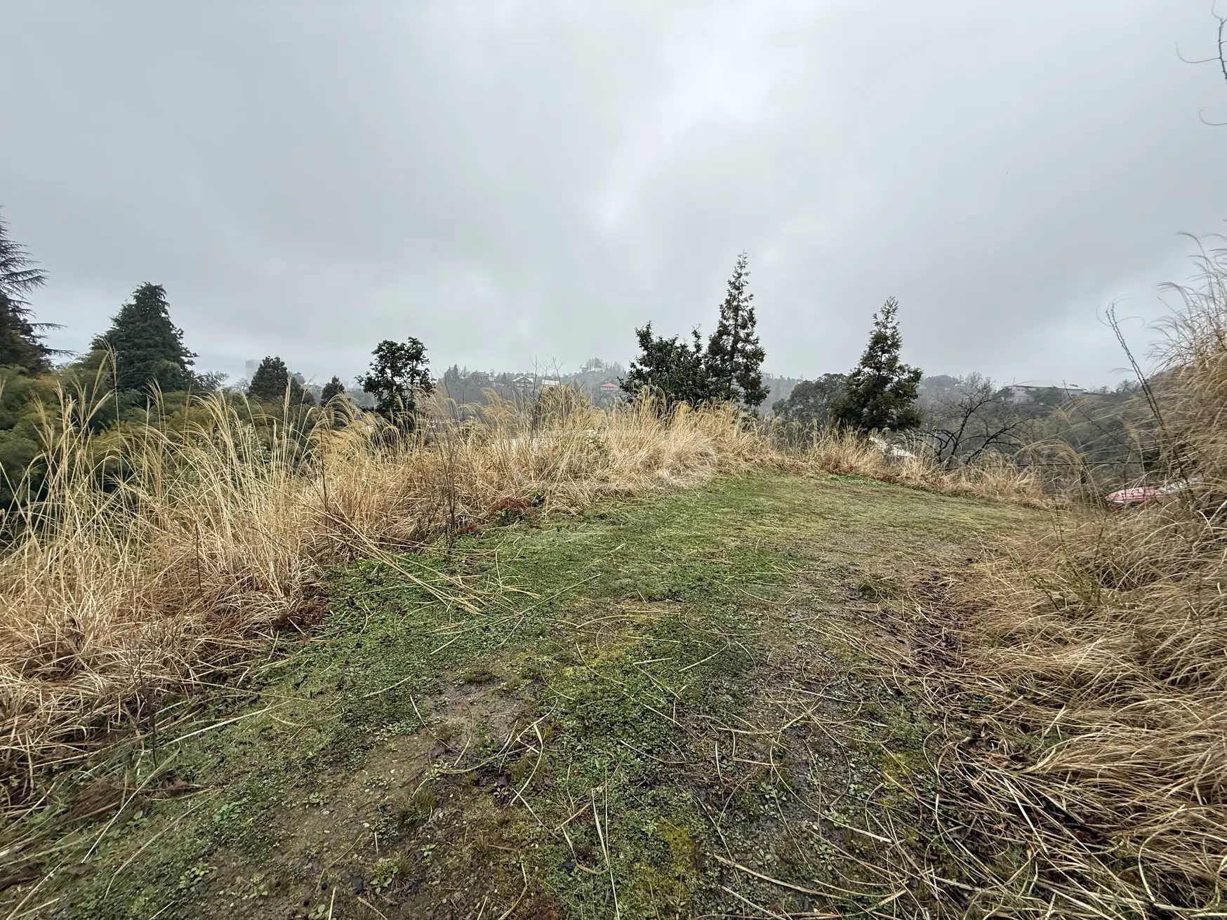 For Sale Sasoplo-Sameurneo Land Plot In Batumi view 2