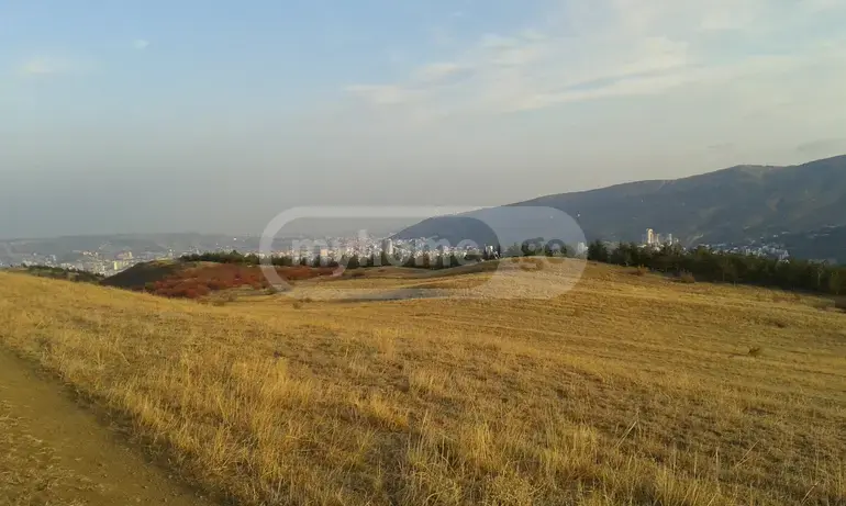 For Sale Ara Sasoplo-Sameurneo Land Plot In Vake view 2