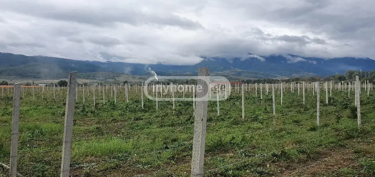 For Sale Sasoplo-Sameurneo Land Plot Khashurshi view 4