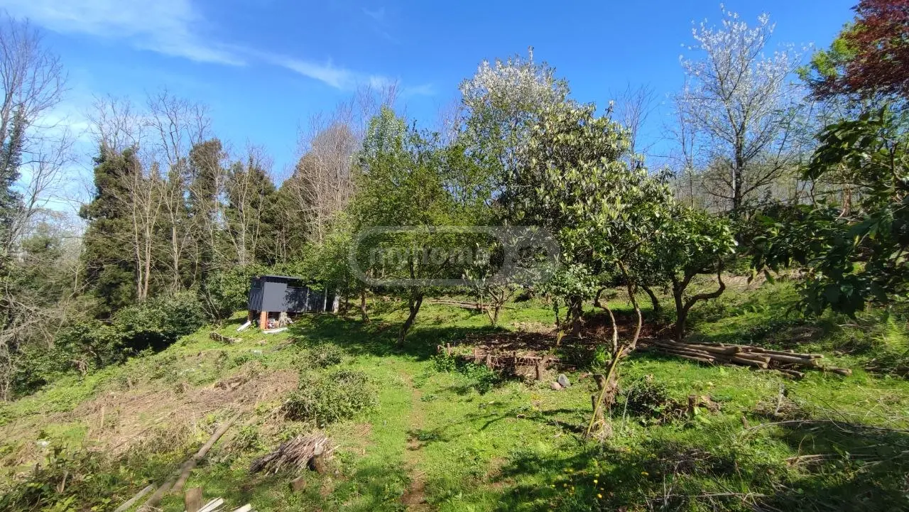 For Sale Ara Sasoplo-Sameurneo Land Plot Kobuletis Munitsipalitetshi view 7