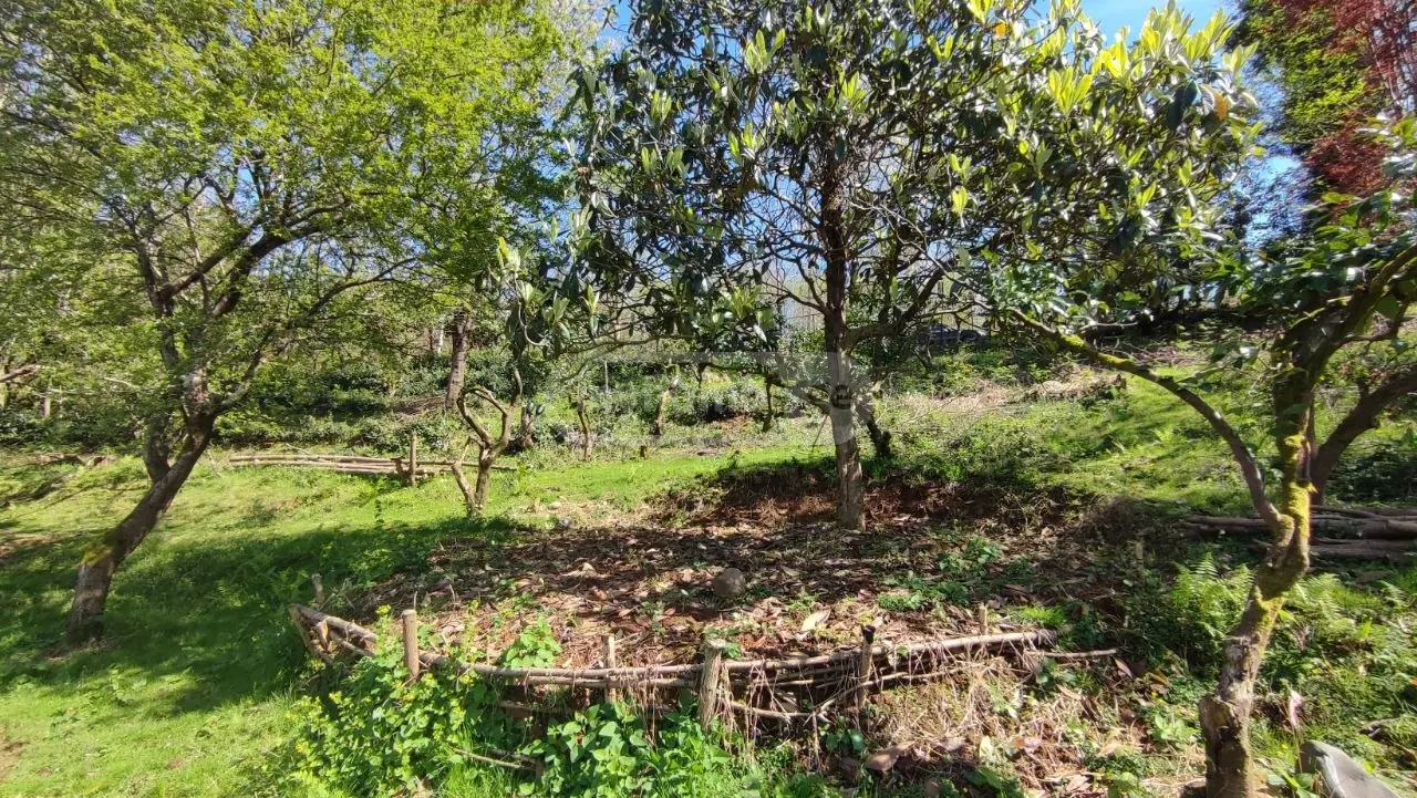 For Sale Ara Sasoplo-Sameurneo Land Plot Kobuletis Munitsipalitetshi view 2