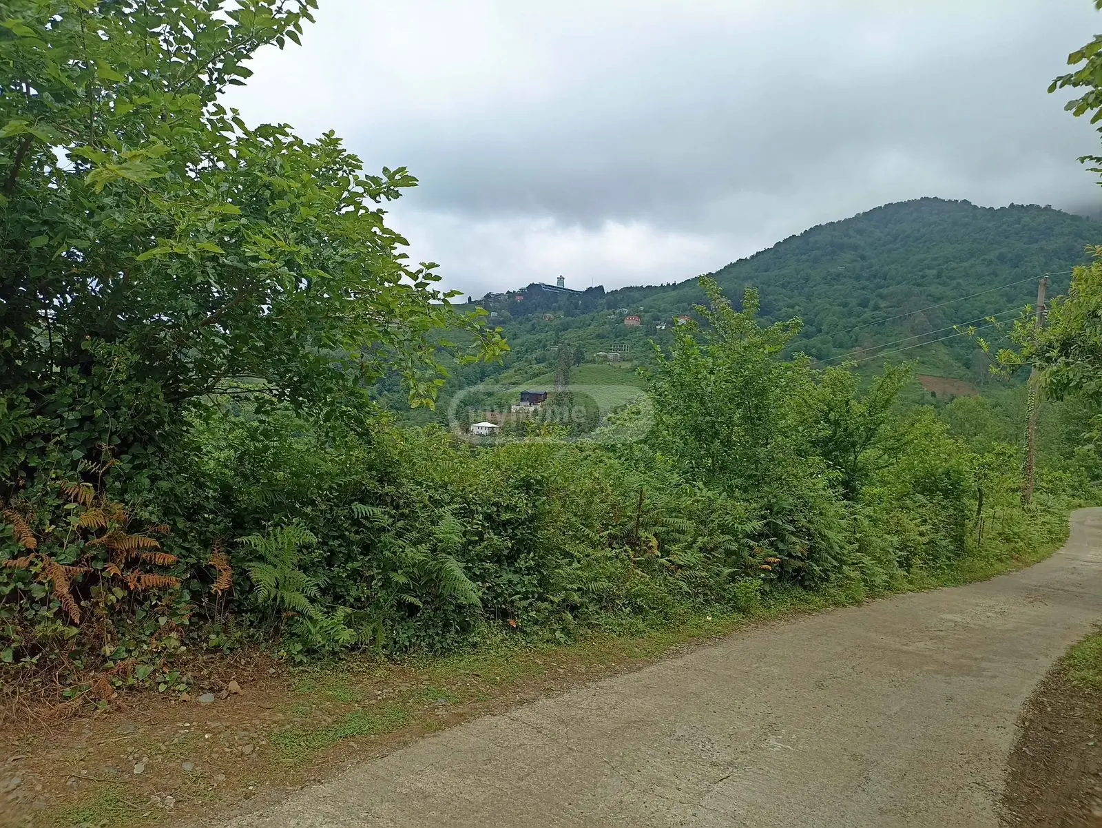 For Sale Sasoplo-Sameurneo Land Plot In Batumi view 5