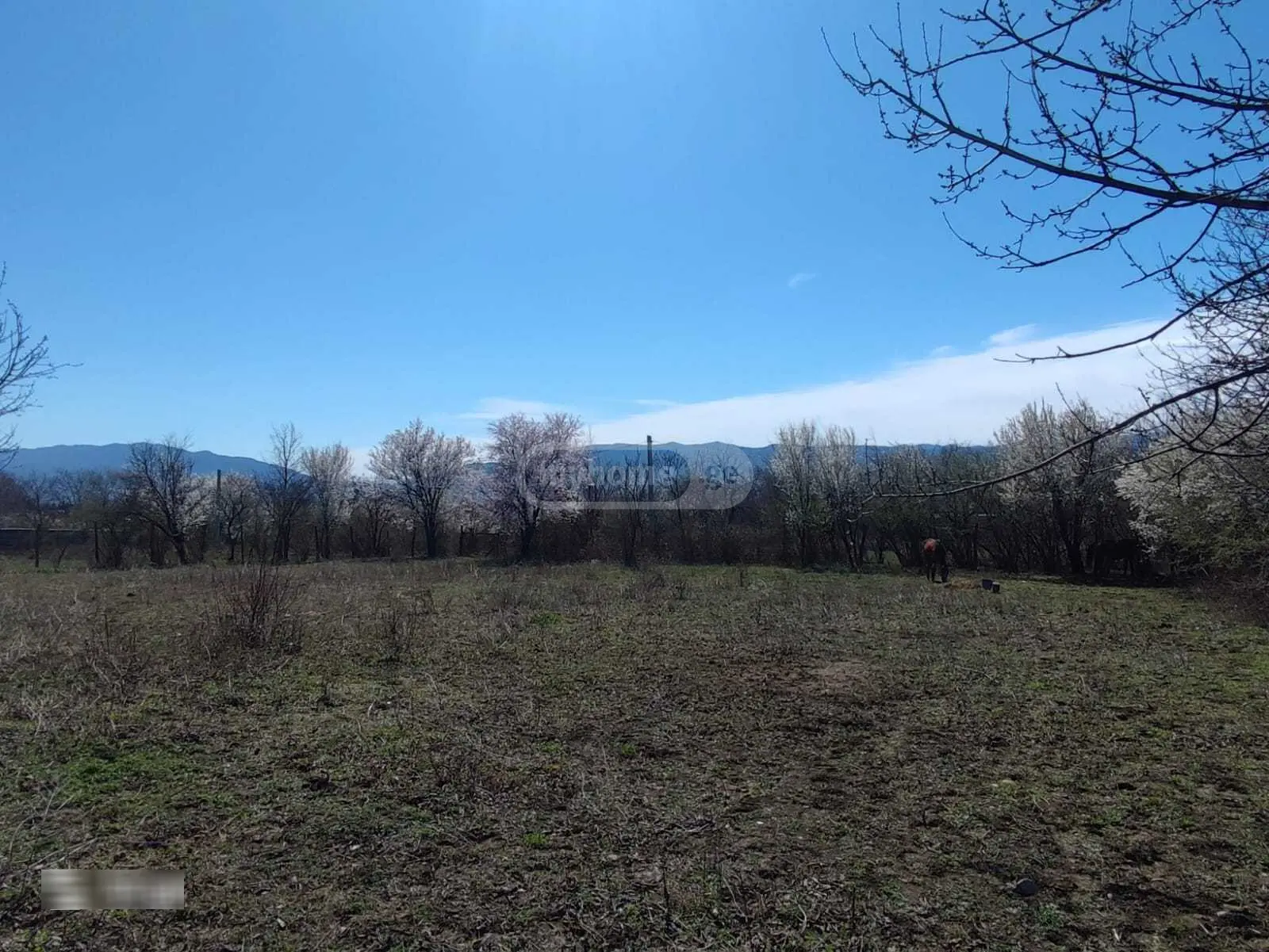 იყიდება მიწა / ნაკვეთი Mtskhetis Munitsipalitetshiში view 6